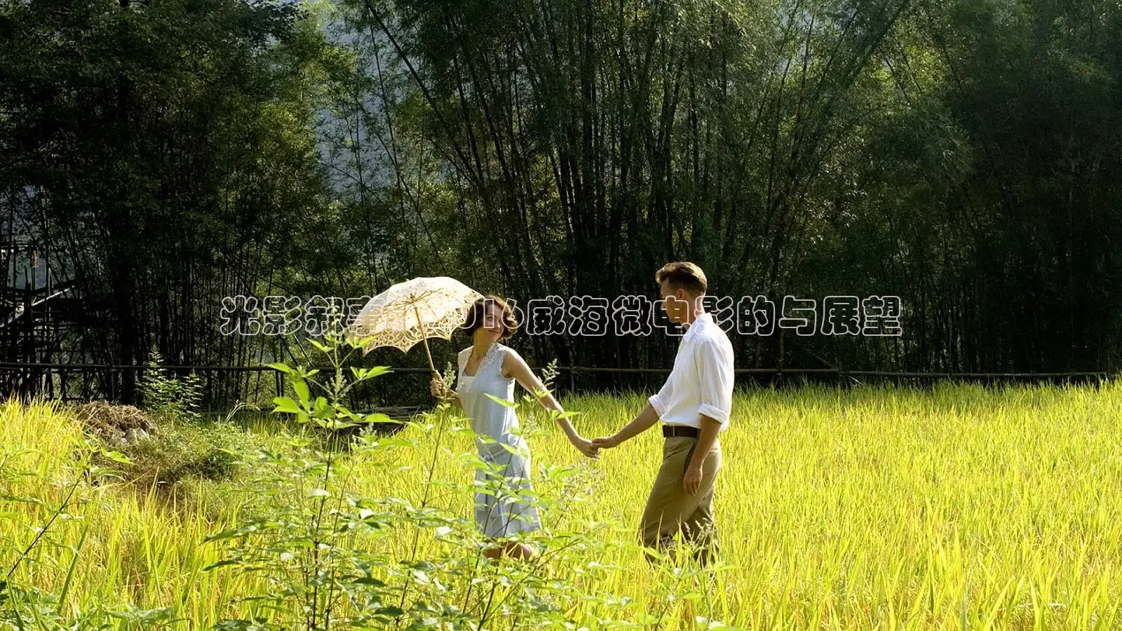 樱花视频高清免费看电视剧